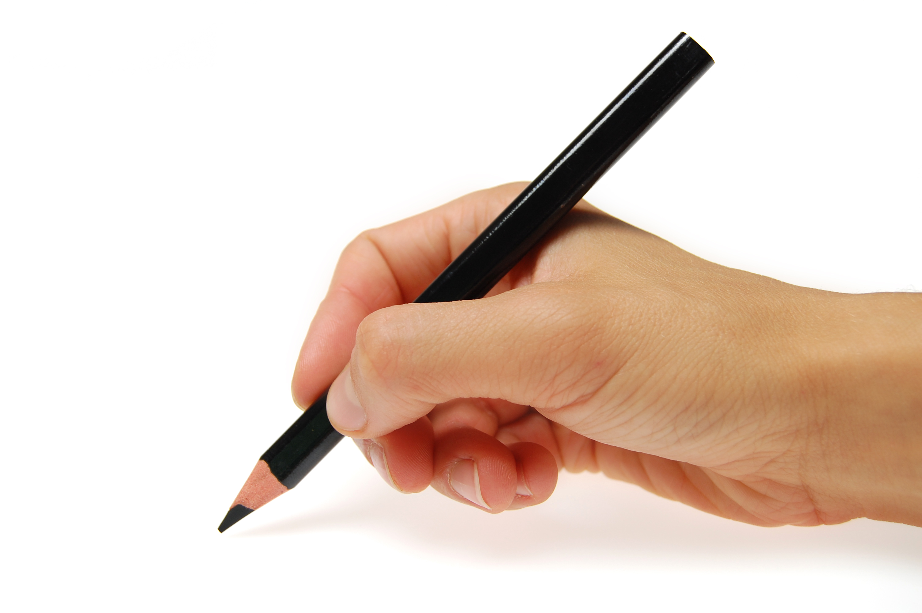 professional insurance audit services